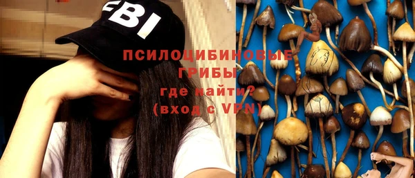 мдпв Балабаново
