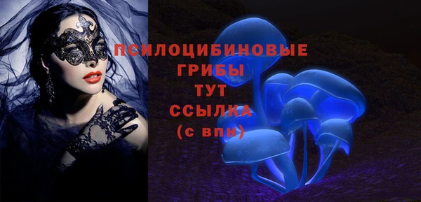 мдпв Балабаново